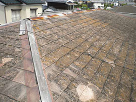 paint_roof_01